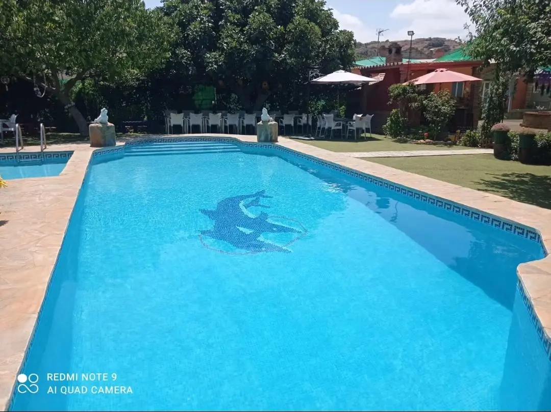 Piscina de Villa Meli con un mosaico de delfín en el fondo y zona de mesas alrededor